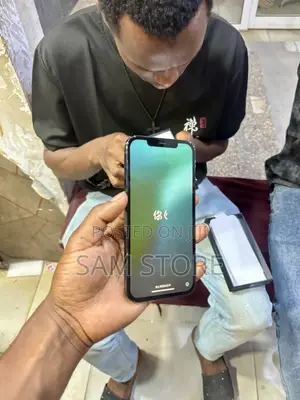 Apple iPhone 12 Pro Max 256 GB Blue