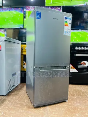 Alyon Fridge Liter 117 (Ni Dogo)