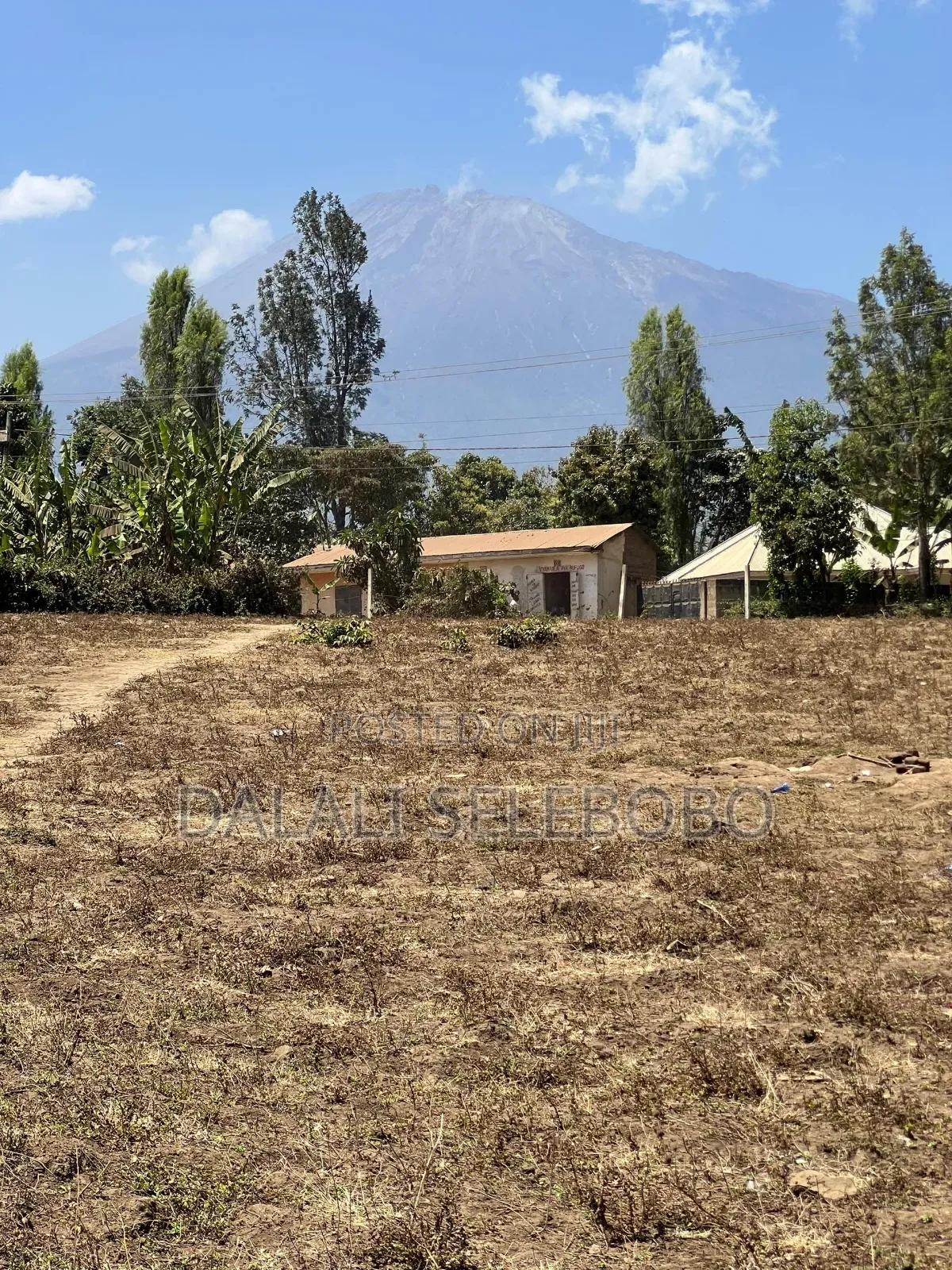 Hector 3 at Sakina Arusha