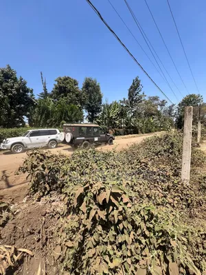 Hector 3 at Sakina Arusha