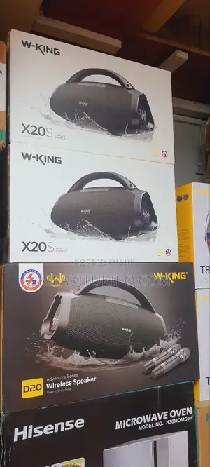 W-King X20 Portable Speaker