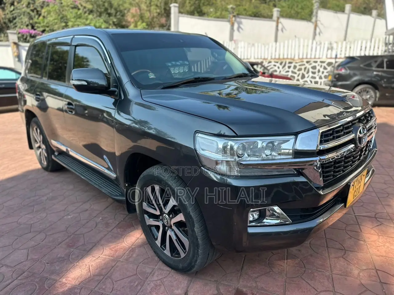 Toyota Land Cruiser 2010 Gray
