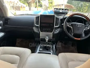 Toyota Land Cruiser 2010 Gray