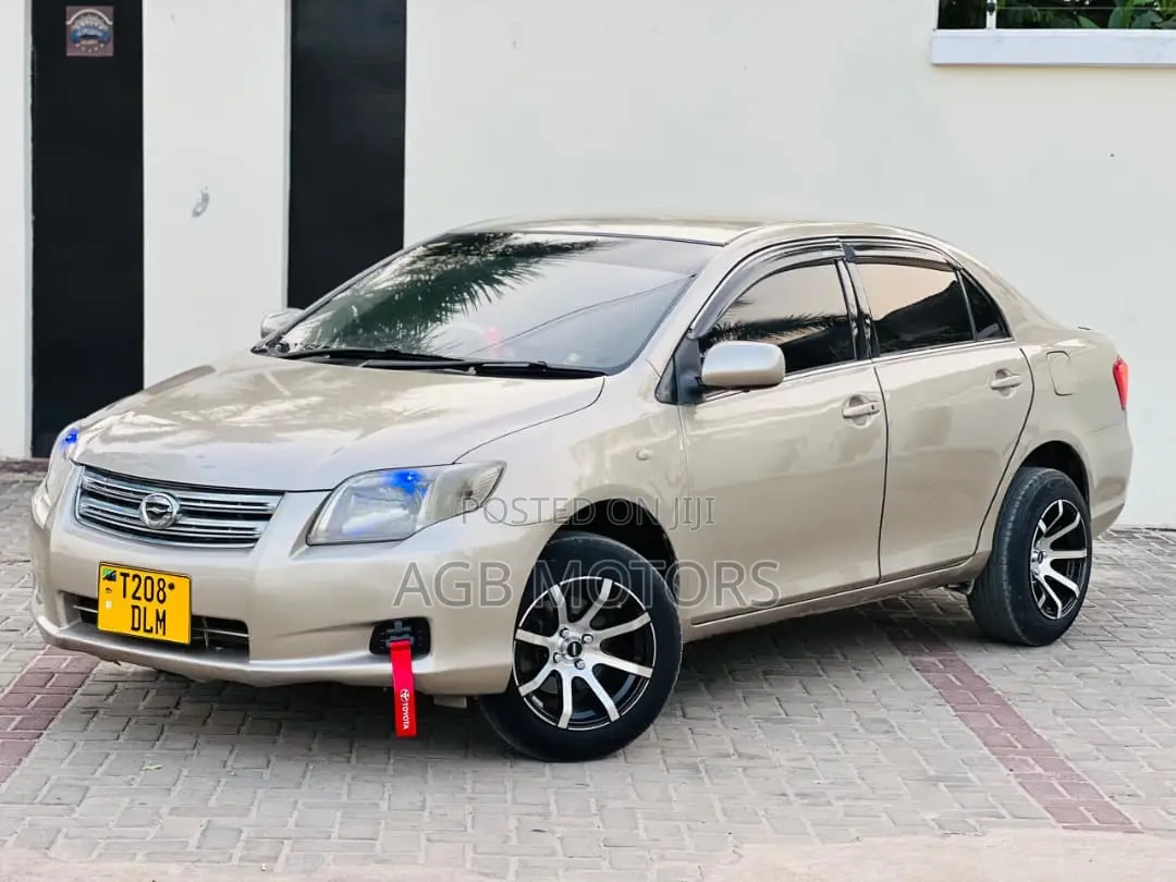 Toyota Axio 2006 Silver