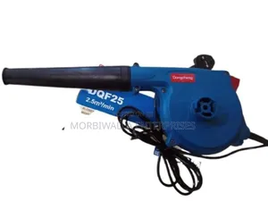 Electric Blower (Dongchen)