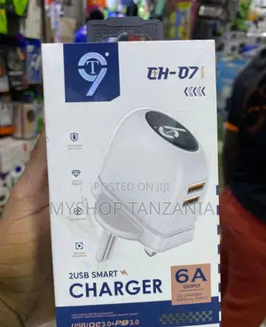 Choi 2 Usb Smart Fast Charging