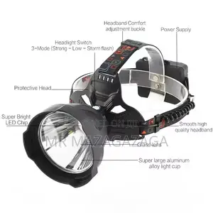 Head Lamps