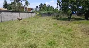 Fenced Plot for Sale at Kunduchi Beach