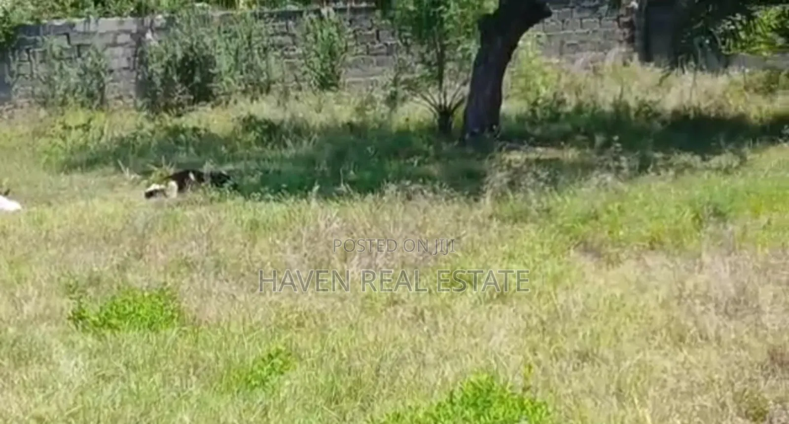 Fenced Plot for Sale at Kunduchi Beach