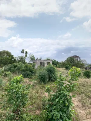 Plot Area SQM 2012 for Sale at Bunju Beach