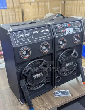 T1002 Double Speaker With 2 Microphones
