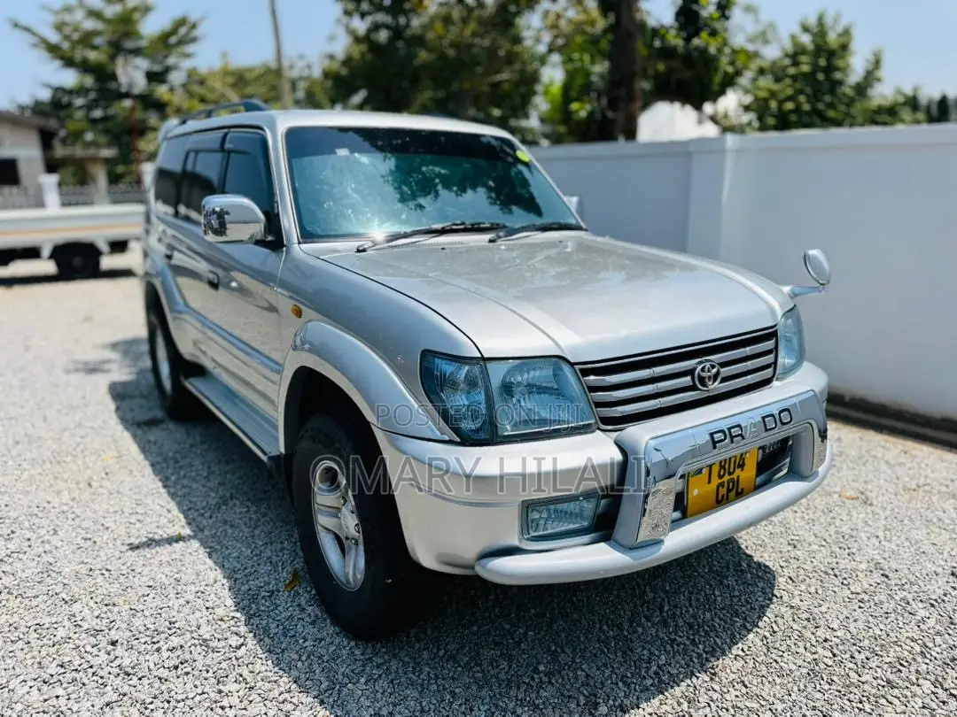 Toyota Land Cruiser Prado 2002 Silver