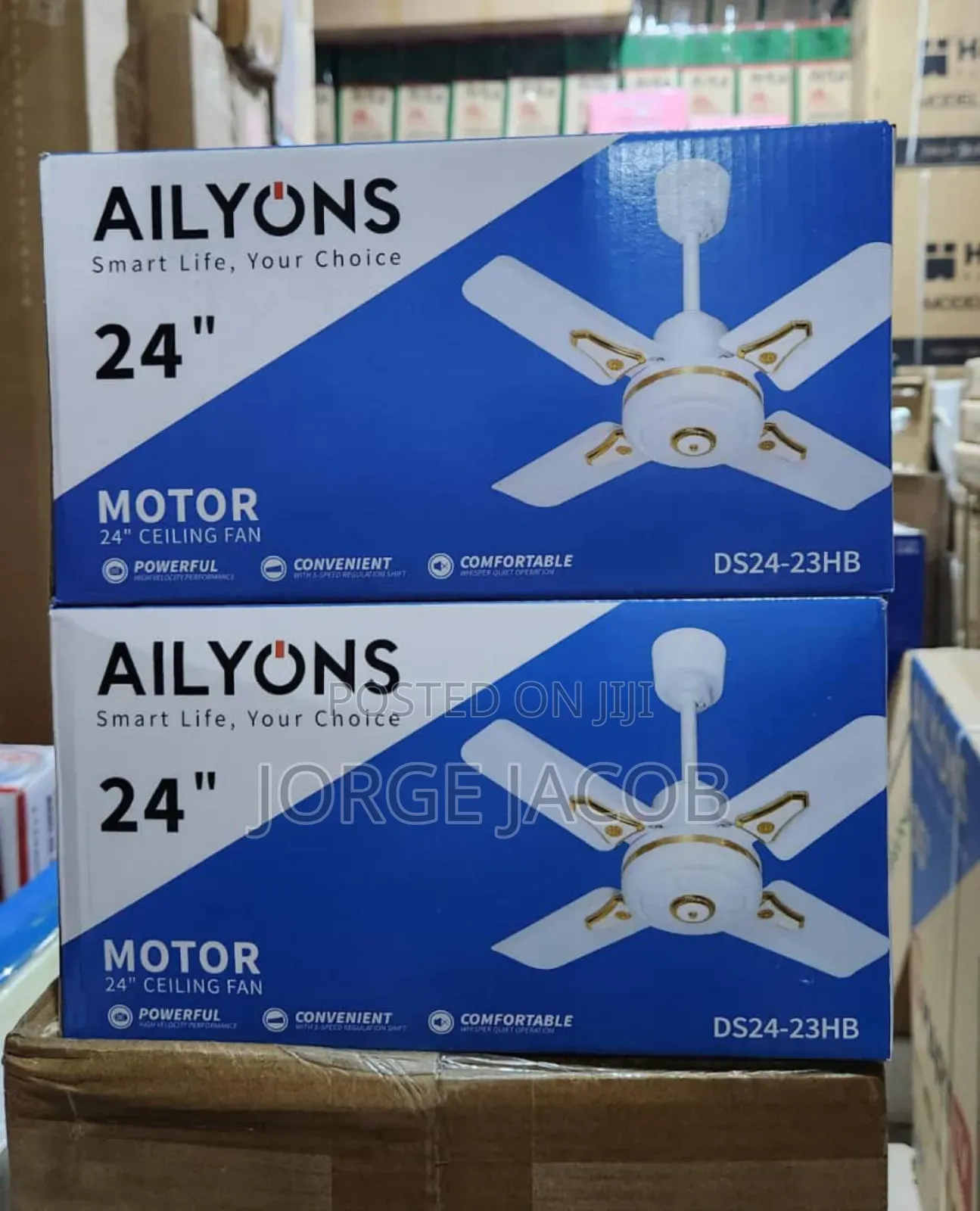 Ailyons 3hb 24" Ceiling Fan.
