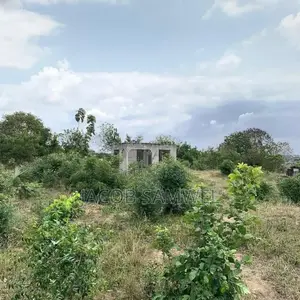 Plot for Sale
