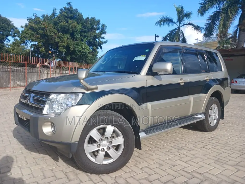 Mitsubishi Pajero Pinin 2.0 GDI Styling Long 2007 Silver