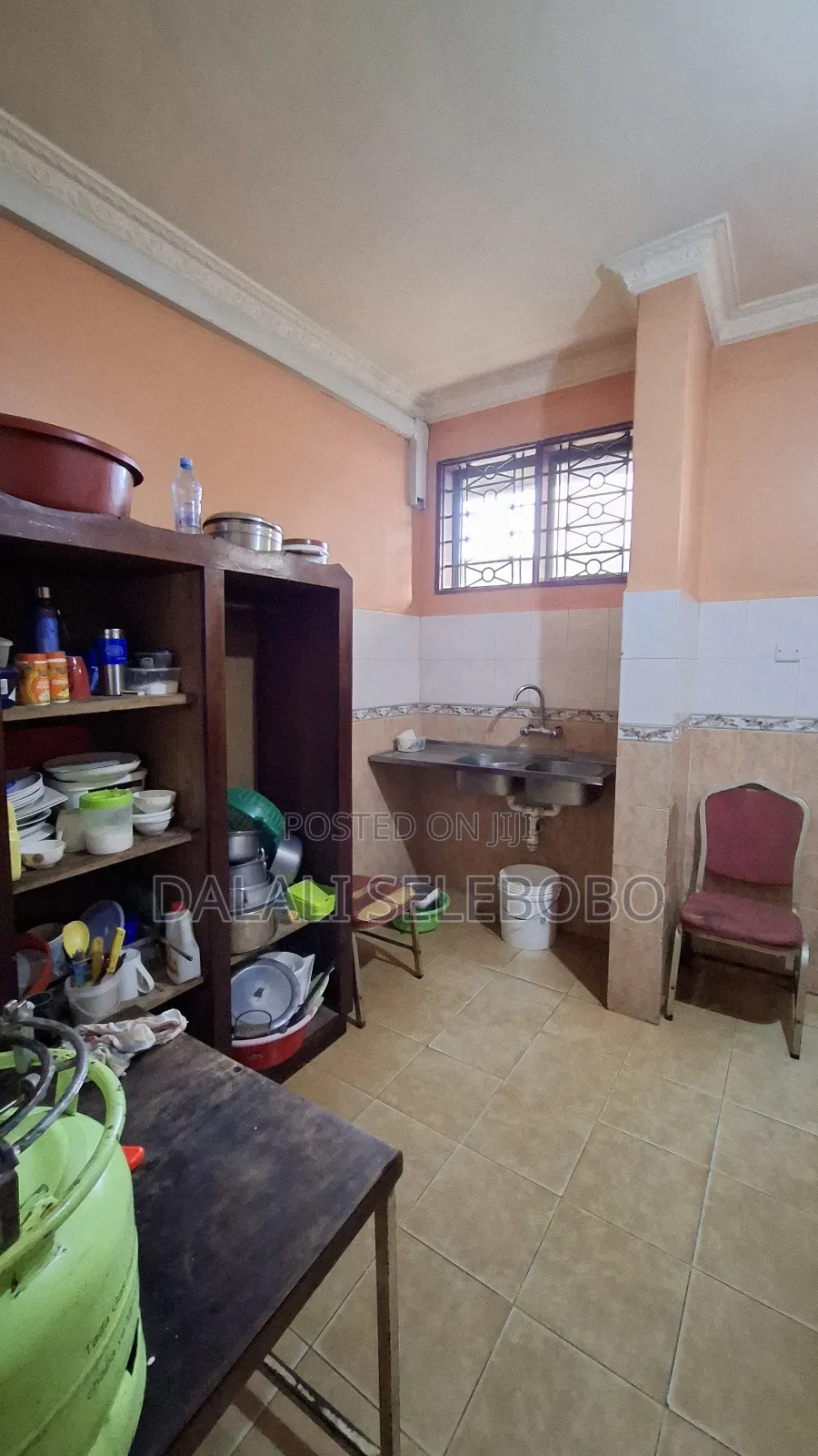 Furnished Mini Flat in Sinza Lion for rent