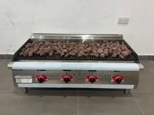 Commercial 4 Burners Gas BBQ Lava Rock Grill Model Wg-Eh-48h