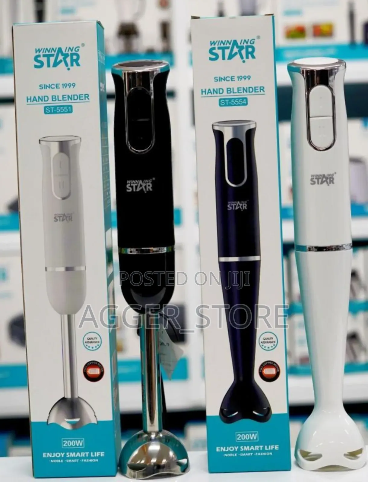 Wining Star St5551/St5554 Hand Blender