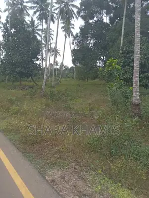 Dunga Prime Land For Sale