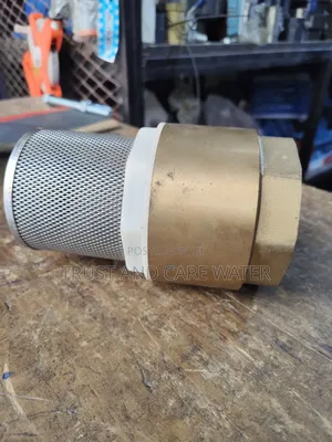 Foot Valve (2 1/2inch)