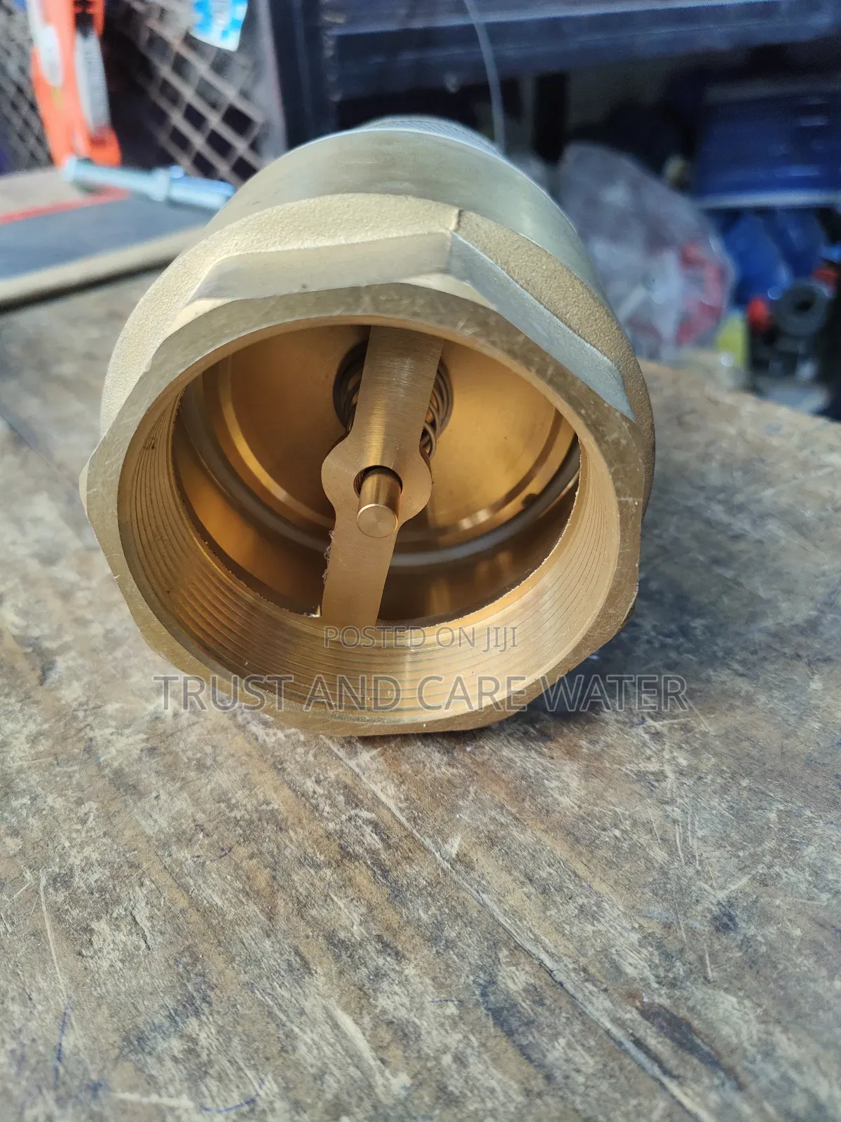 Foot Valve (2 1/2inch)