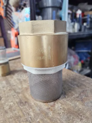 Foot Valve (2 1/2inch)