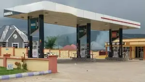 Iringa: Nauza Petrol Station/Sheli Na Viwanja Viwili Vikubwa Kwa Bei 1