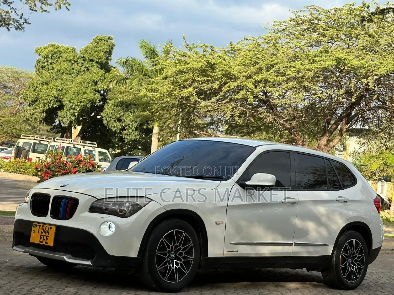 BMW X1 2010 Pearl