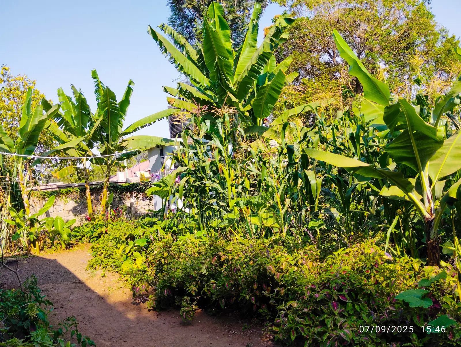 5bdrm House in Central Business Area for sale