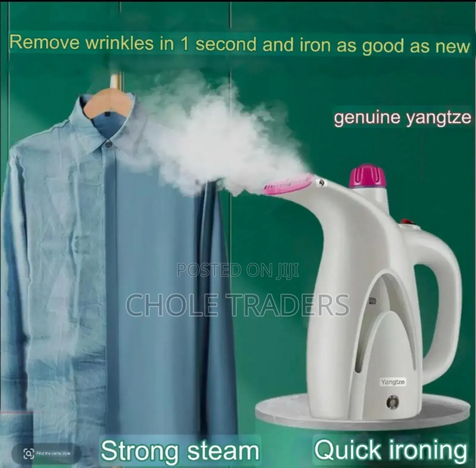 Handheld Steam Iron