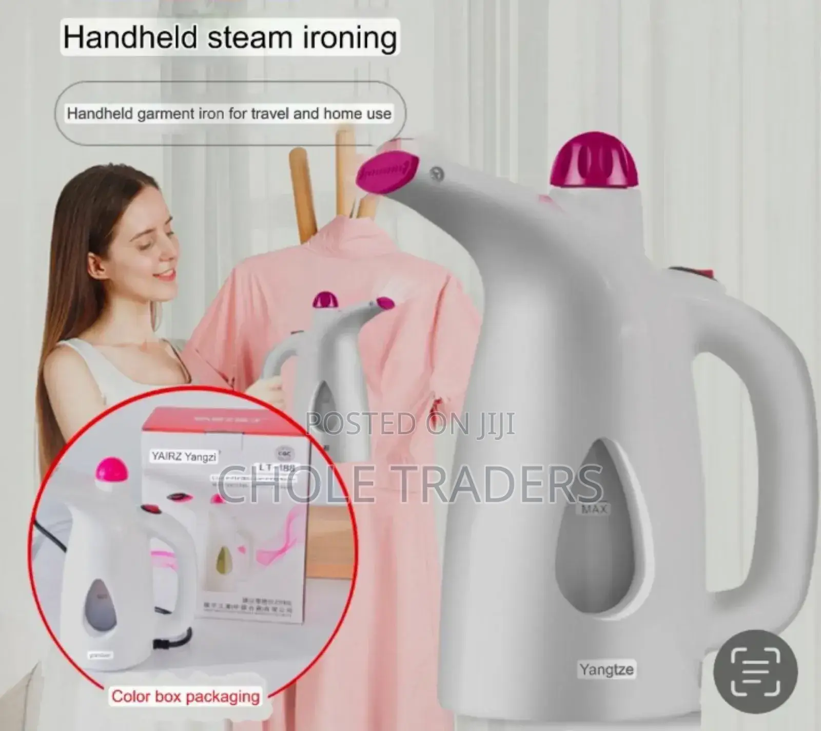 Handheld Steam Iron