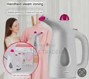 Handheld Steam Iron