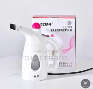 Handheld Steam Iron