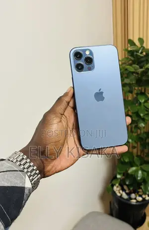 Apple iPhone 12 Pro Max 128 GB Gray