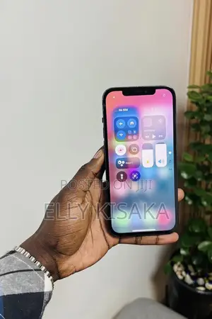 Apple iPhone 12 Pro Max 128 GB Gray