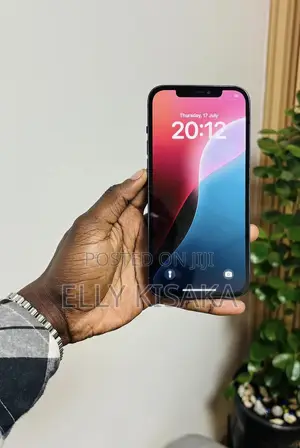 Apple iPhone 12 Pro Max 128 GB Gray