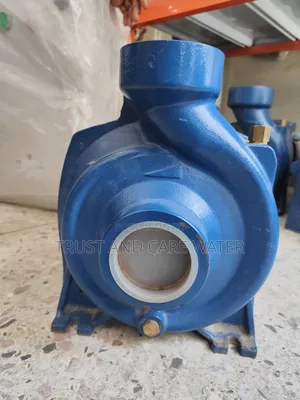 Pedrollo Surface Pump 2hp (2inch)