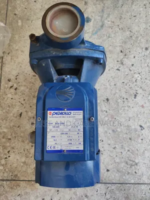 Pedrollo Surface Pump 2hp (2inch)