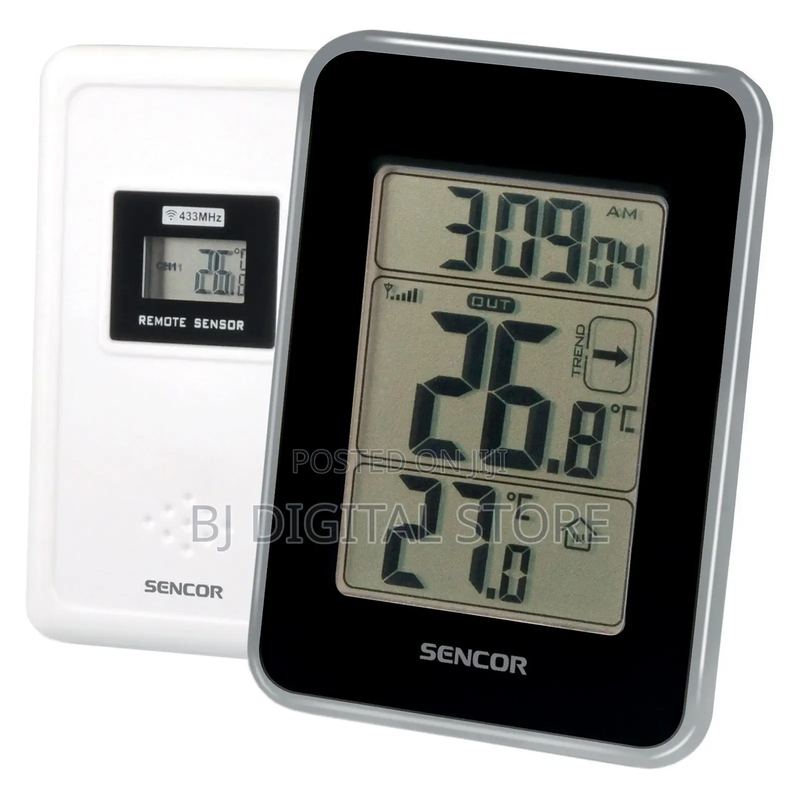 SWS 25 Bs Wireless Thermometer
