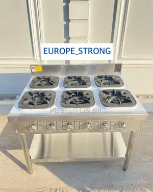 Commercial 6-Burner Gas Stove
