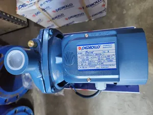 Pedrollo Surface Pump 1hp