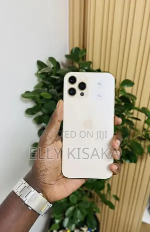 Apple iPhone 12 Pro Max 256 GB White