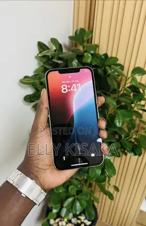 Apple iPhone 12 Pro Max 256 GB White