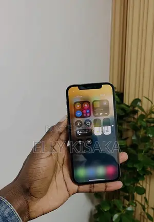 Apple iPhone 12 Pro 128 GB Gray