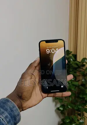 Apple iPhone 12 Pro 128 GB Gray