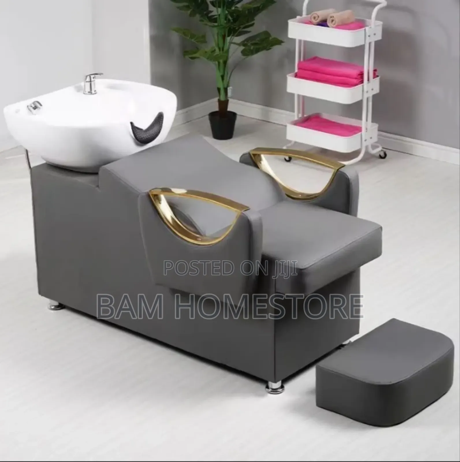 Luxury Salon Shampoo Chair