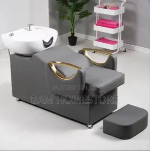 Luxury Salon Shampoo Chair