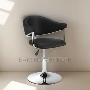 Modern Adjustable Swivel Saloon Chair