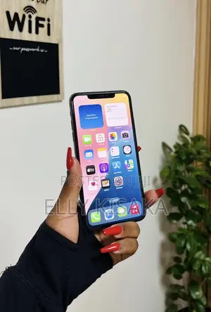Apple iPhone 11 Pro Max 256 GB Gray