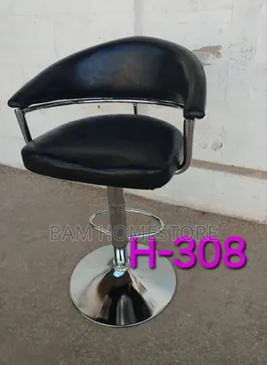 Modern Adjustable Swivel Saloon Chair